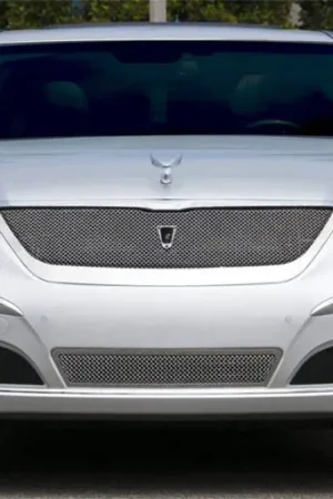 Hyundai Equus T-Rex Upper Class Polished Stainless Mesh Grille with Formed Mesh Center - 54497 Special Offer