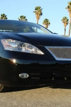 Special Offer Lexus ES T-Rex Upper Class Polished Stainless Mesh Grille with Formed Mesh Center - 54643