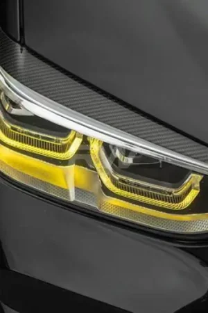 Sale BMW G01 G02 F97 F98 Carbon Fiber Eyelids bmwf9706