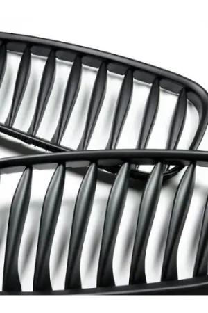 While Supplies Last BMW E85 E86 Z4 Matte Black Grilles bmwe85001