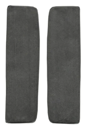 Carpet for 1955-1958 Chevrolet Truck Door Panel Inserts 2pc Daytona Daytona Hot Deal