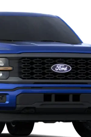 Ford F-150 Front Emblem - With camera cutout (No Spray washer) Hassle-Free Returns