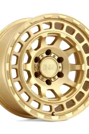 Hot Picks BR CHAMBER 20X9.5 6X135 +12 87 M-GOLD