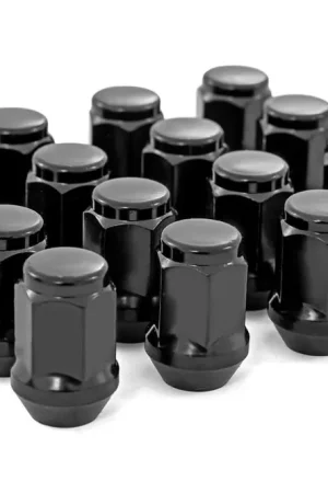 One Day Deal M10 x 1.25 Acorn Lug Nuts | Black | Set of 16