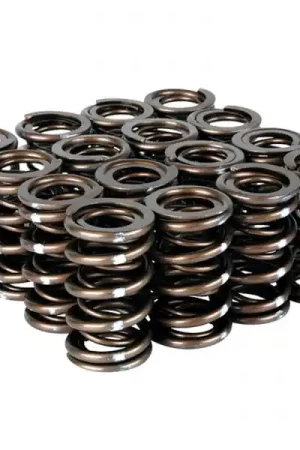 Skunk2 Pro Series Honda/Acura K-Series i-VTEC XP Valve Spring Set (Dual Springs) Sale