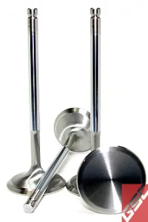 Exclusive Offer GSC P-D 2015+ Subaru WRX FA20F Exhaust Valve - 29mm Head (STD) - Set of 50