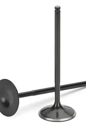 Supertech BMW M50/M52/S50/S52 Black Nitrided Exhaust Valve - Set of 12 High Quality