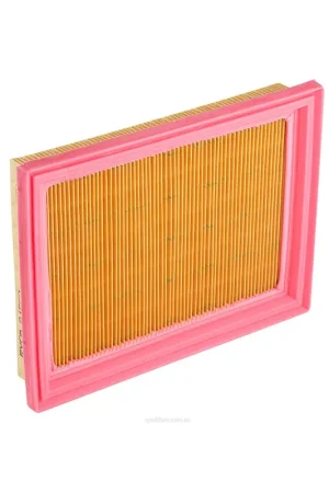 Ryco Air FilterA1552 Best Choice