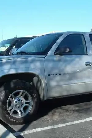 Luxury TFP Stainless Steel Door Handle Insert Accent - 484