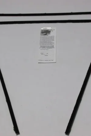 Window Sweeps Weatherstrip for 1963-1965 Mopar B-Body Black Front Rear 4 pcs Exclusive Offer