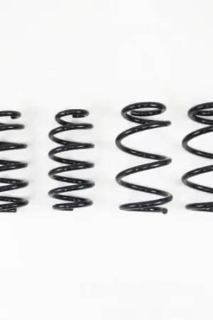 RS-R 2017-2024 Tesla Model 3 (RWD) Down Sus Springs Free Returns