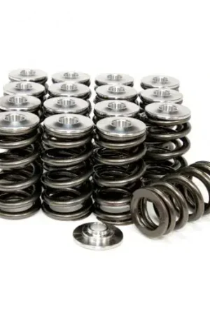 GSC Power Division Beehive Spring/Titanium Retainer Set (EVO X) One Day Deal