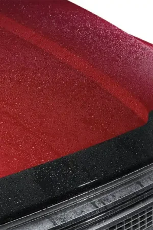 WeatherTech 2024 Ford Mustang Convertible/Fastback (Incl. Dark Horse) Hood Skin Protector - Black | Graveyard Performance Affordable